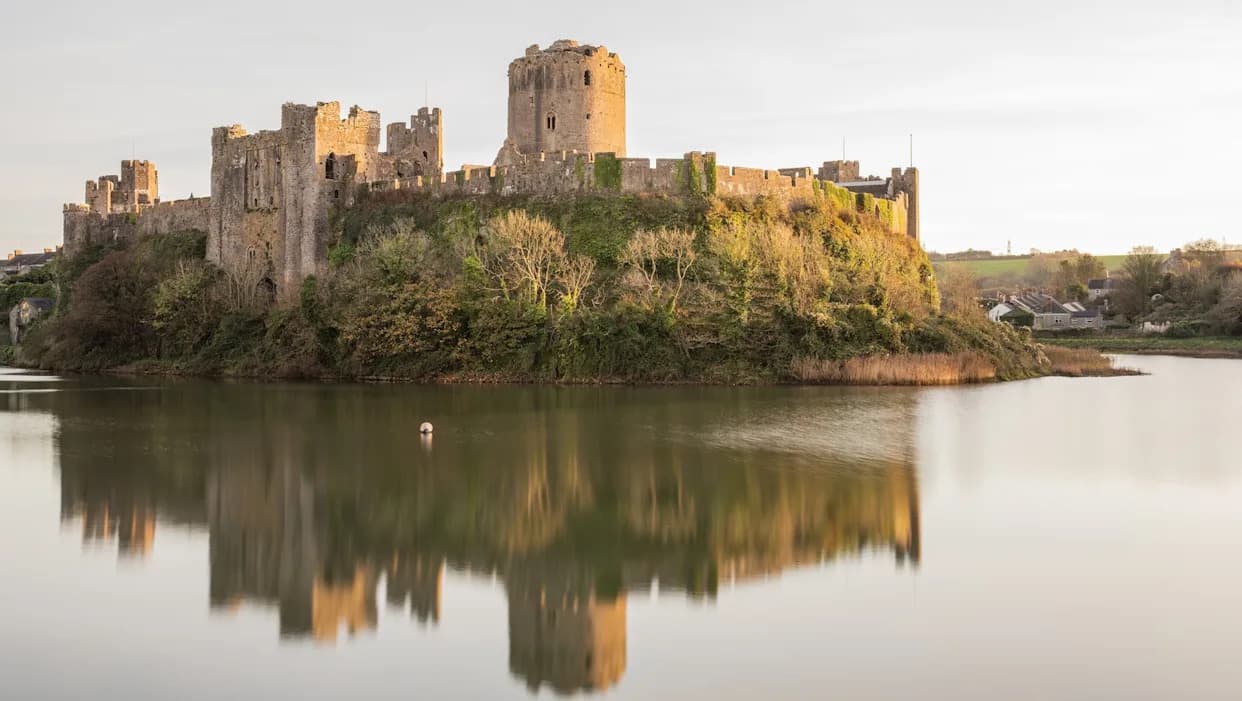 120,000-Year-Old Hippo Bones Found in Secret Cave Beneath 11th-Century Pembroke Castle
