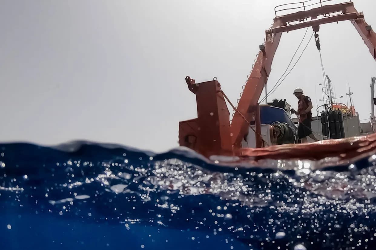 Scientists and the Public Name New Deep‑Sea Chiton Ferreiraella populi — "Taxonomy Has Never Been This Fun"