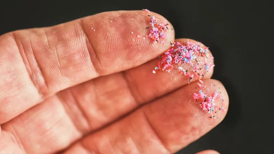 Invisible Heat: How Microplastics From the Great Pacific Garbage Patch Are Warming the Air
