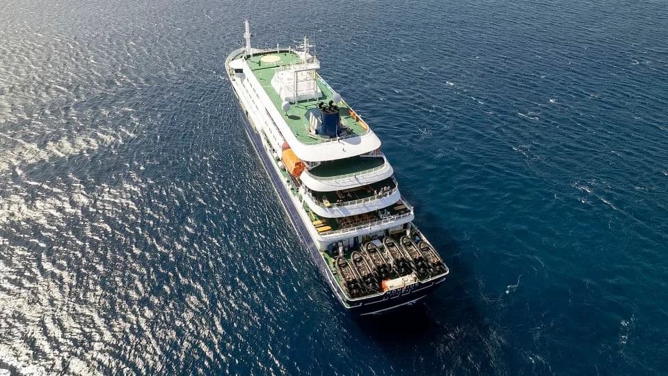 Suspected Hantavirus Aboard MV Hondius: Three Passengers Dead, One Case Confirmed