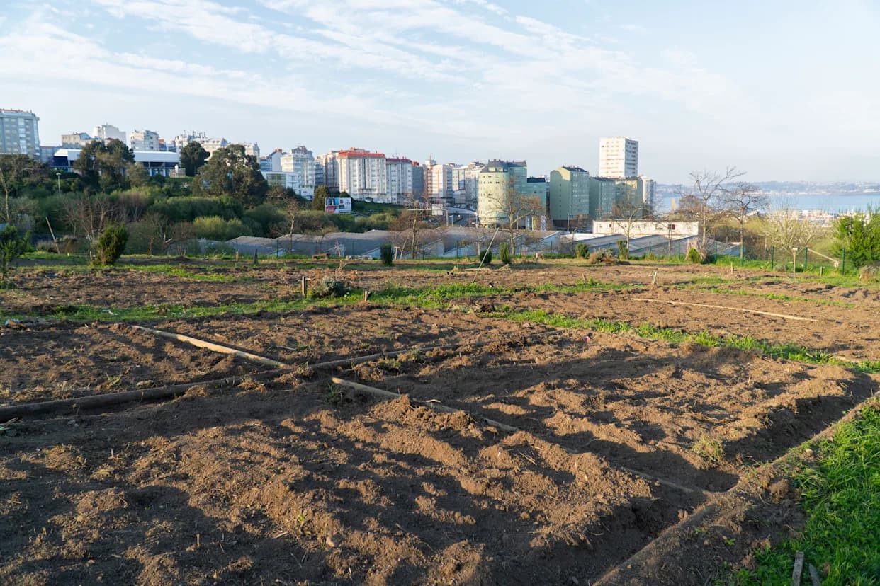 Urban Rooftops and Vacant Lots Could Supply Nearly 30% of Europe's Fruit and Vegetables, Study Finds