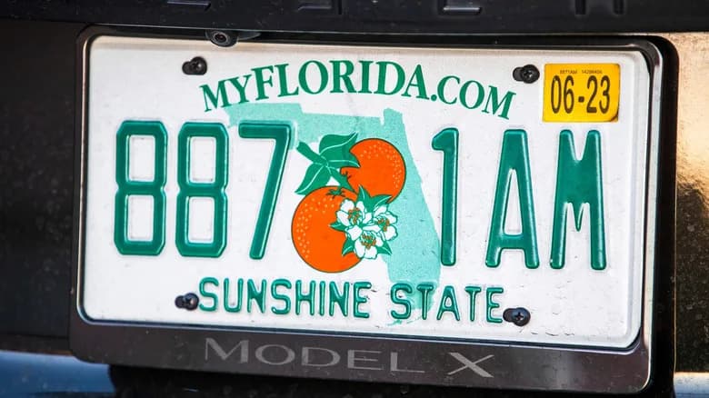 Florida’s Orange Boom Went Bust: How Citrus Greening Devastated an Industry