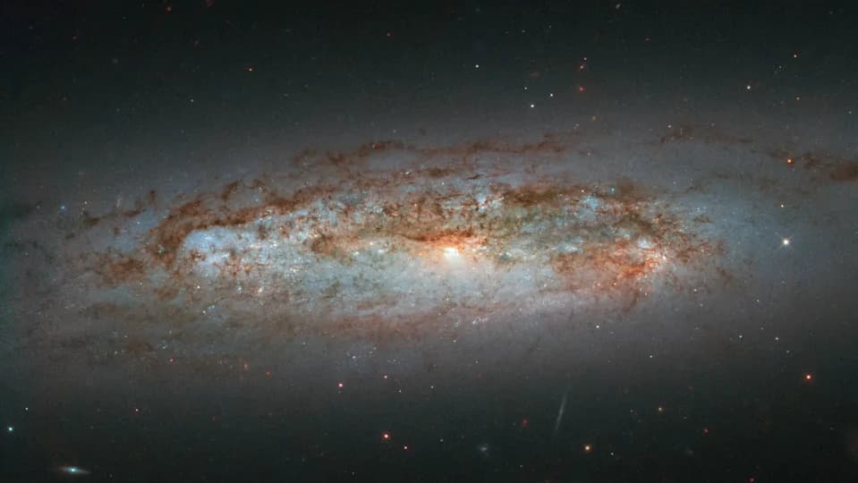 Hubble’s Stunning New Image of NGC 3137 — A Glittering Spiral 53 Million Light-Years Away