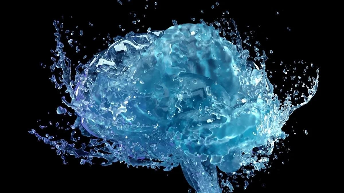 Tiny Abdominal Movements May Power a Hidden Brain 'Cleaning' Pump, Study Finds