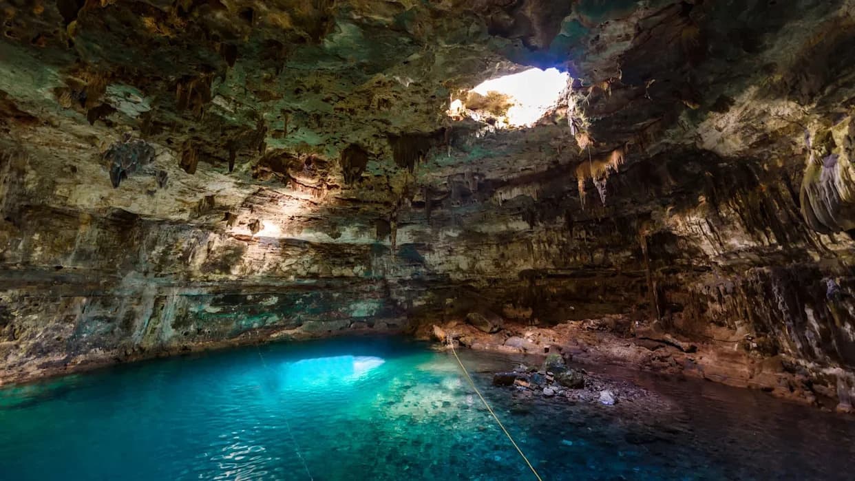 Sunlit Skylight Reveals Underground Lake Where Sighted and Blind Fish Hybridise