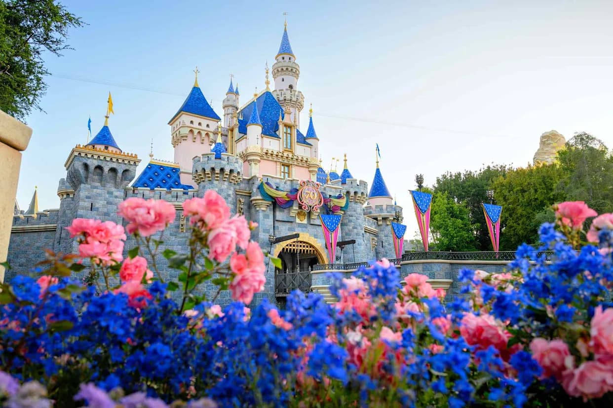 Disneyland-Themed License Plates Could Raise Funds for 13 California Children's Hospitals