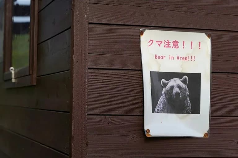 First Confirmed Fatal Bear Attack Of 2026 In Japan As Sightings Surge After Hibernation