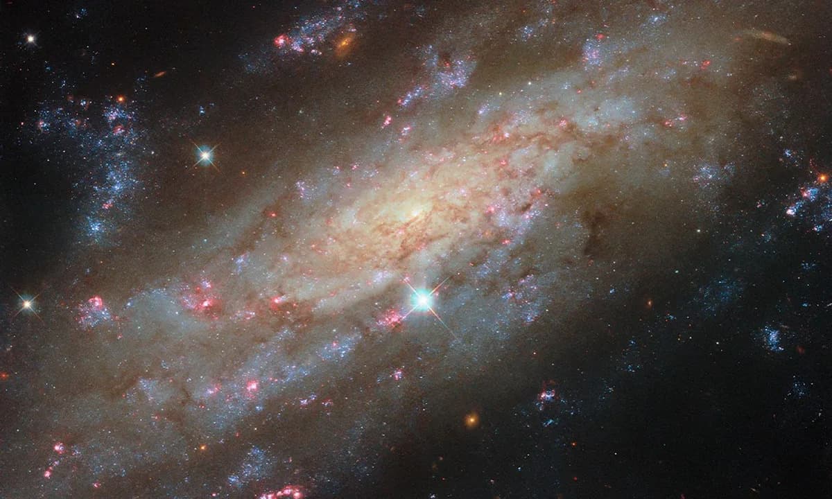 Hubble Reveals Roaming Galaxy NGC 3137 in Vivid Detail