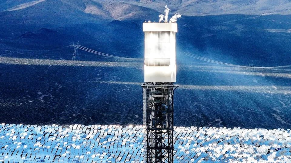 Investigation: Obama-Era Ivanpah Solar Plant Kills Thousands Of Birds Annually — Regulators Cite No Fines
