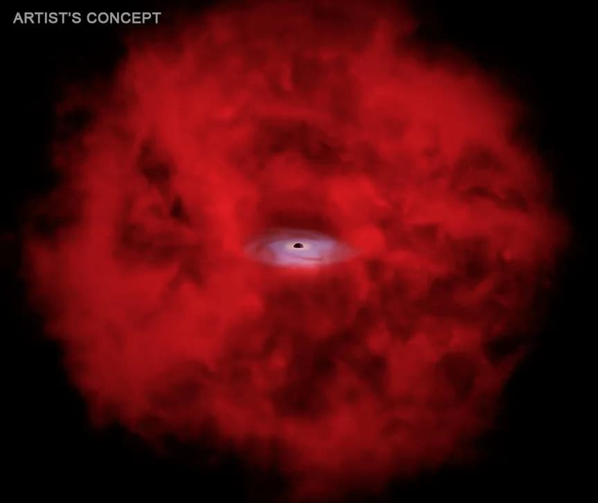 X-Ray–Bright Black Hole May Explain James Webb's Mysterious 'Little Red Dots'