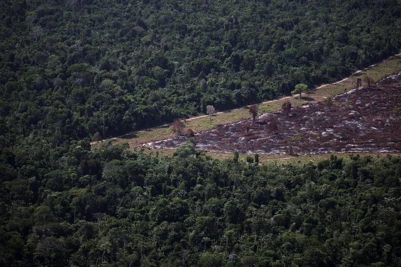 Brazil Delays Satellite-Based Checks on Rural Loans, Pushing Deforestation Rule to 2027–28