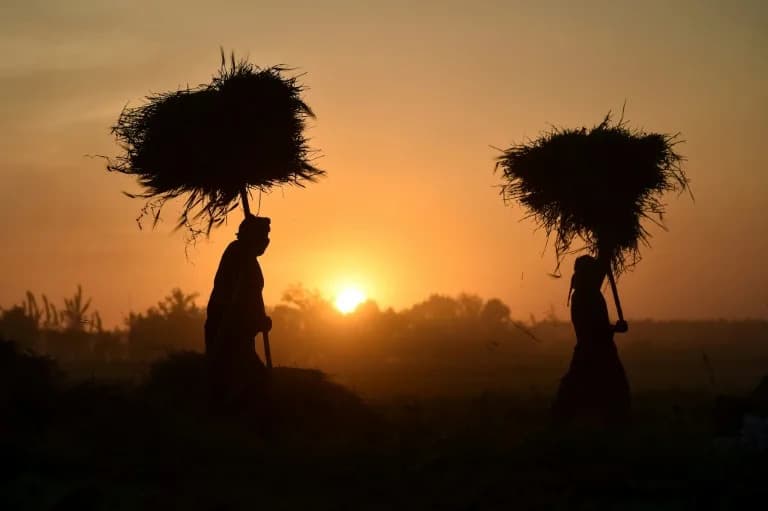 UN: Afghanistan's Water Crisis Deepened in 2025 as Drought Nearly Doubled