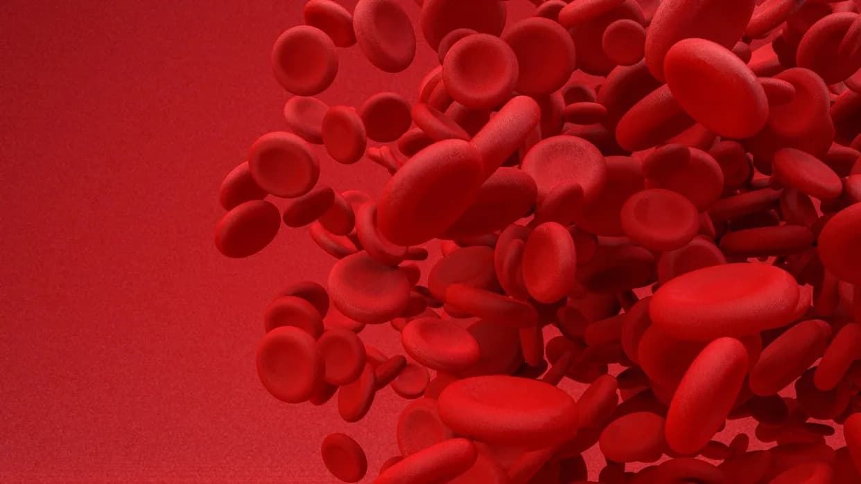 Scientists Rejuvenate Aged Blood Stem Cells by Targeting Lysosomes