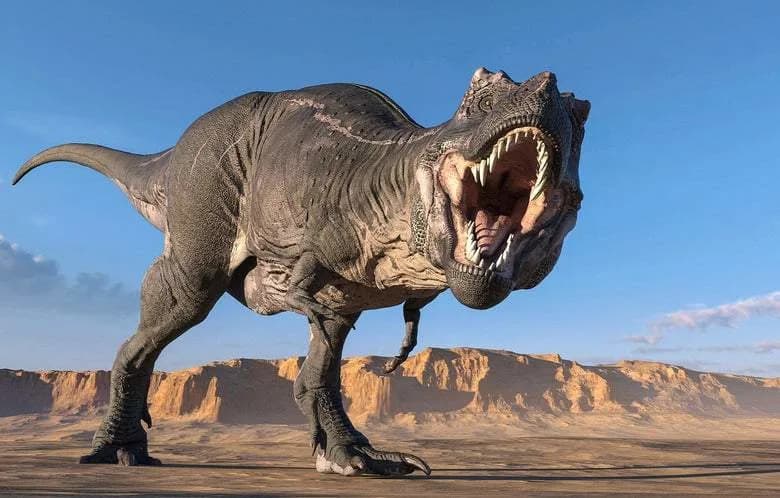 Why T. rex Had Tiny Arms: A New Hypothesis Says They Were Safer That Way