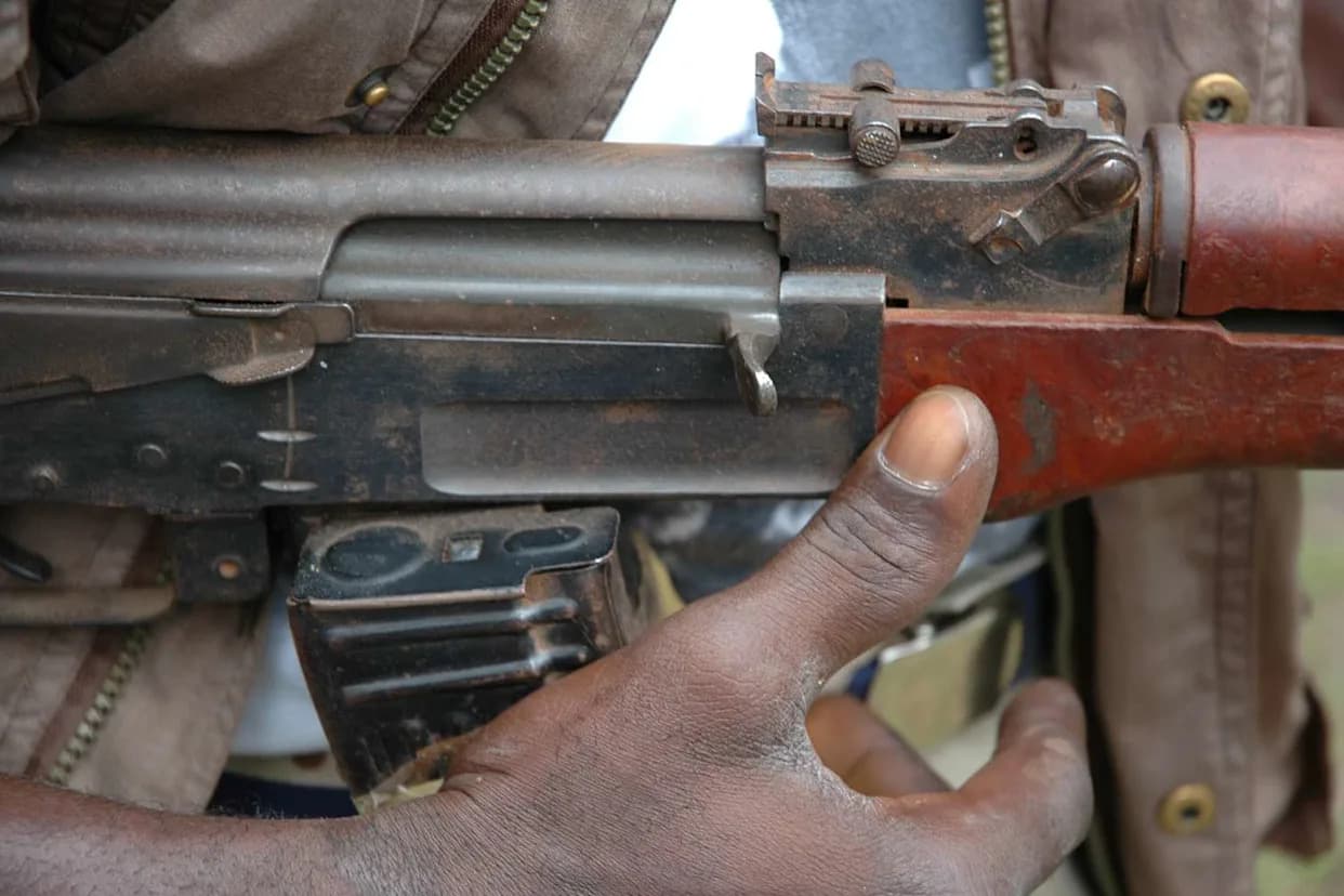 Dozens of Children, Including Toddlers, Kidnapped in Coordinated Attacks on Three Schools in Borno State