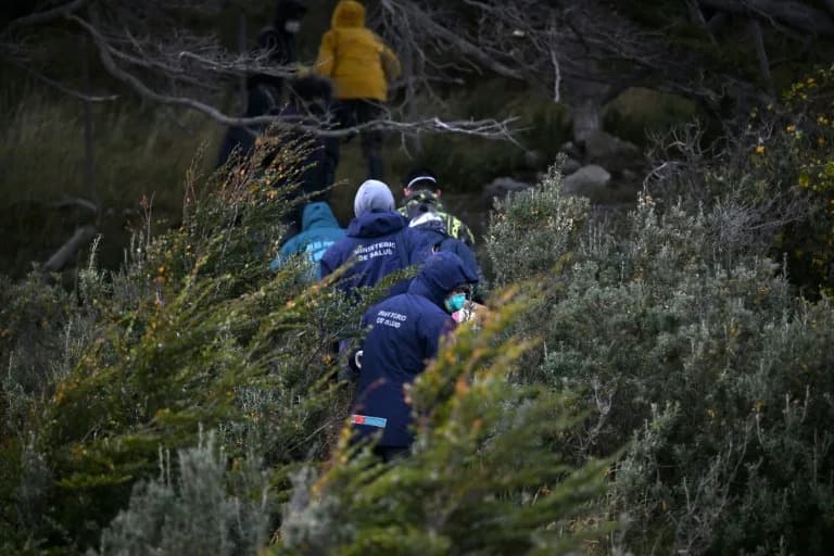 Argentine Teams Deploy Up to 150 Traps Near Ushuaia to Hunt for Andes Hantavirus After Cruise Outbreak