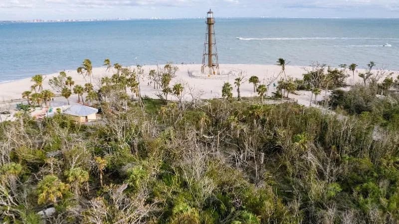 U.S. Tidal Wetlands Shrinking Faster — Louisiana Hit Hardest, California Sees Gains