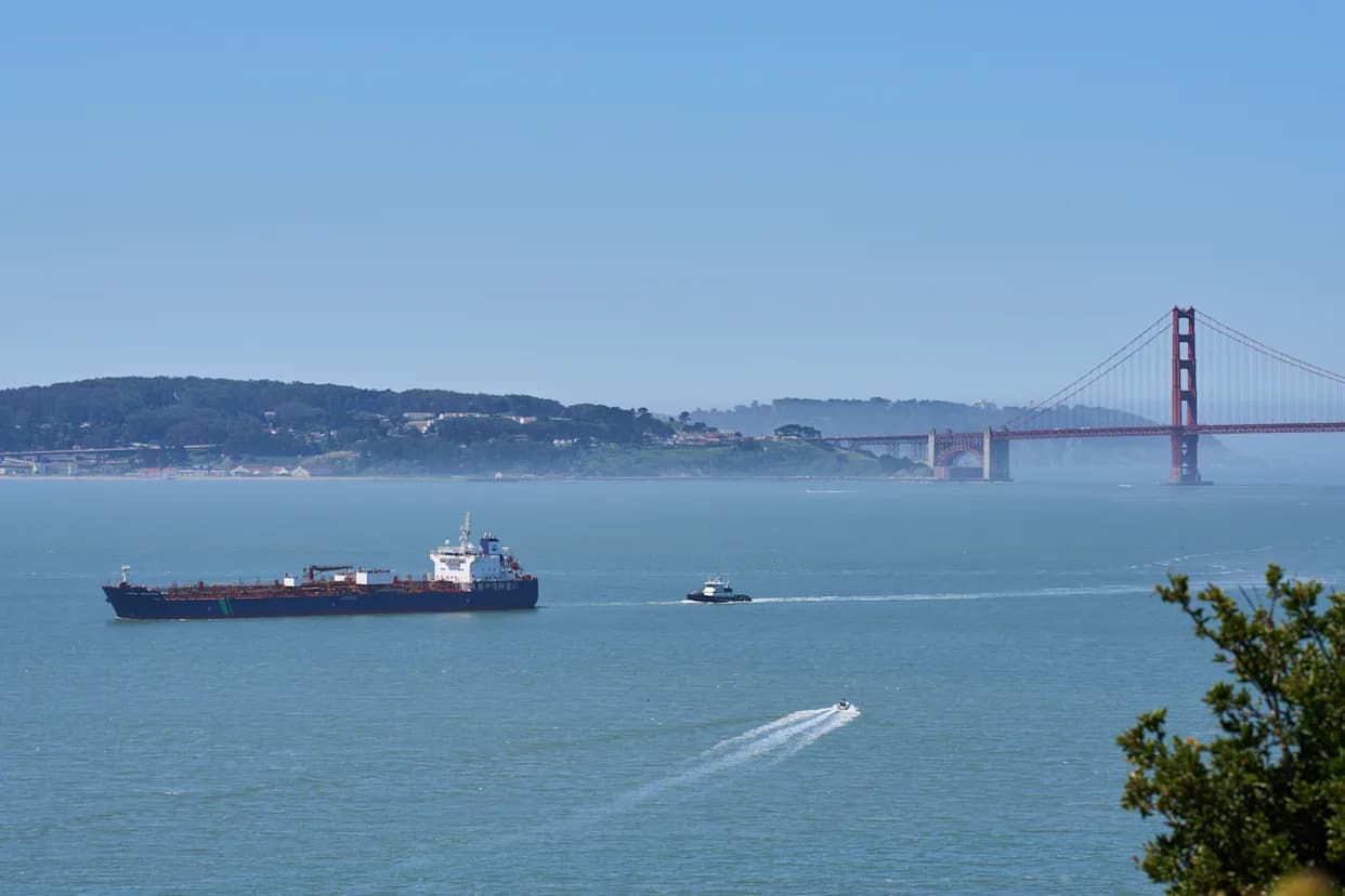 AI WhaleSpotter Network Begins Real-Time Whale Alerts For Ships In San Francisco Bay