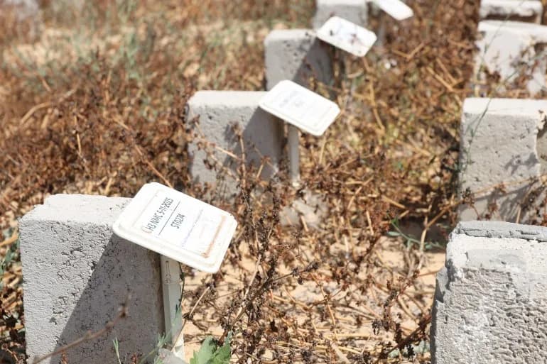 Bodies With Numbers: Inside Deir el-Balah — Gaza’s Cemetery For The Missing