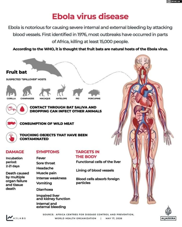 Ebola Travel Restrictions Grow as Bundibugyo Outbreak Spreads in DRC and Uganda