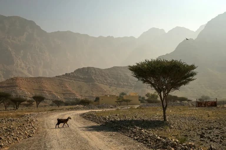 UN/WMO: Global Temperatures Likely To Stay At Or Near Record Levels Through 2030