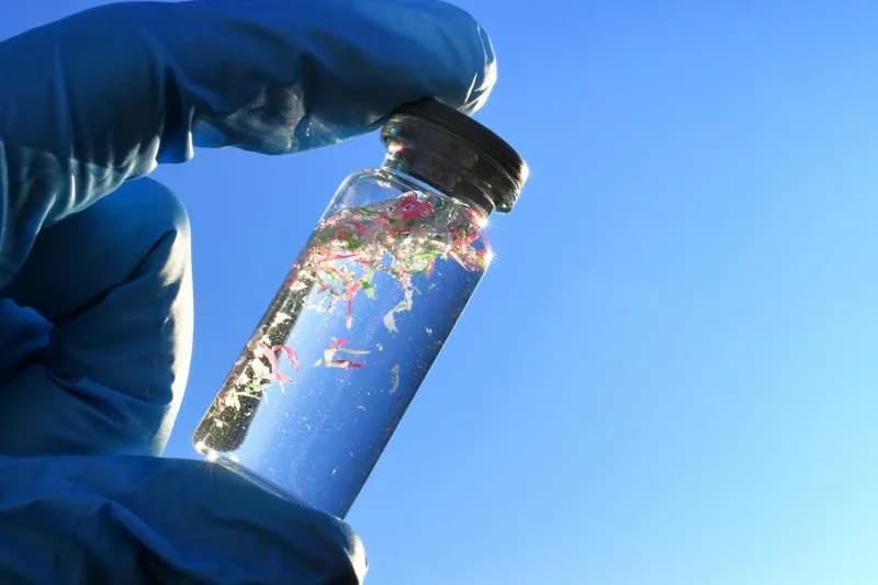 Microplastics Are Undermining the Ocean’s Ability To Store Carbon, NTNU Study Warns