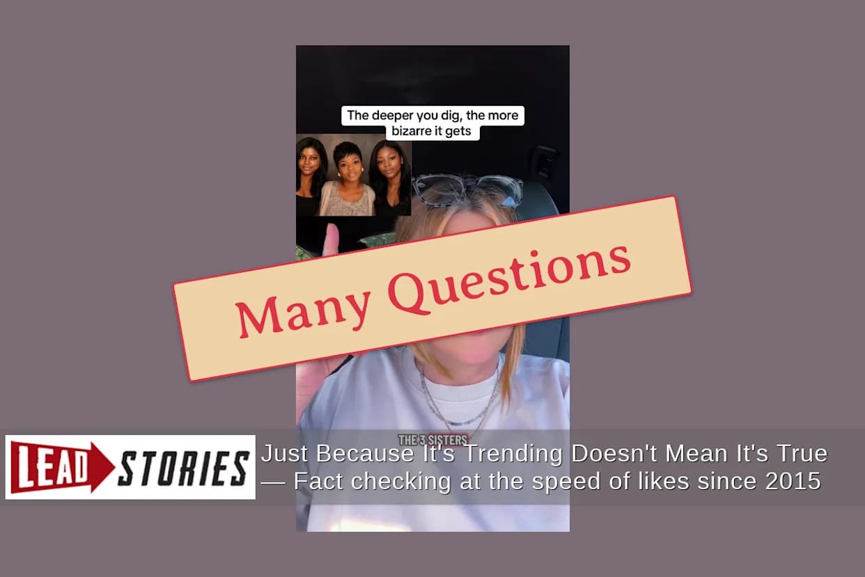 Fact Check: No Evidence Family Ran GoFundMe For Missing Mother Before Brighton Drownings