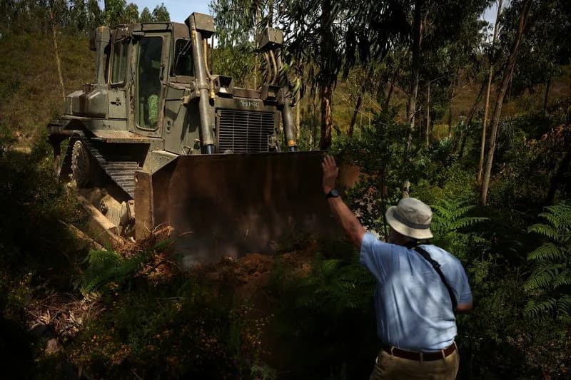 Portugal Races to Clear Storm Debris as Wildfire Season Looms