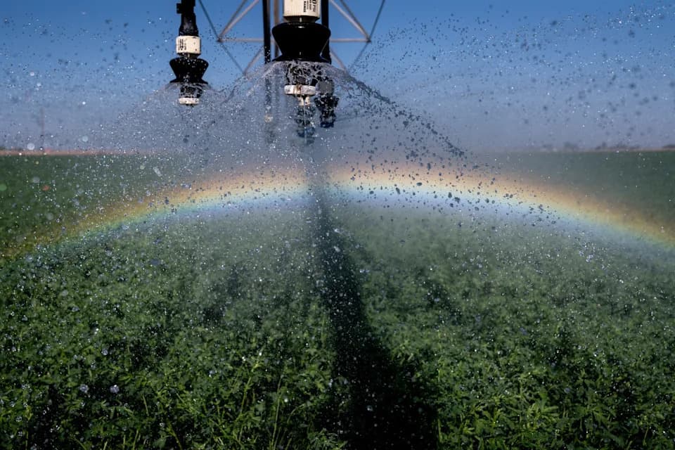 Study Finds Widespread PFAS and Pesticide Contamination in California Surface Water and Sediment