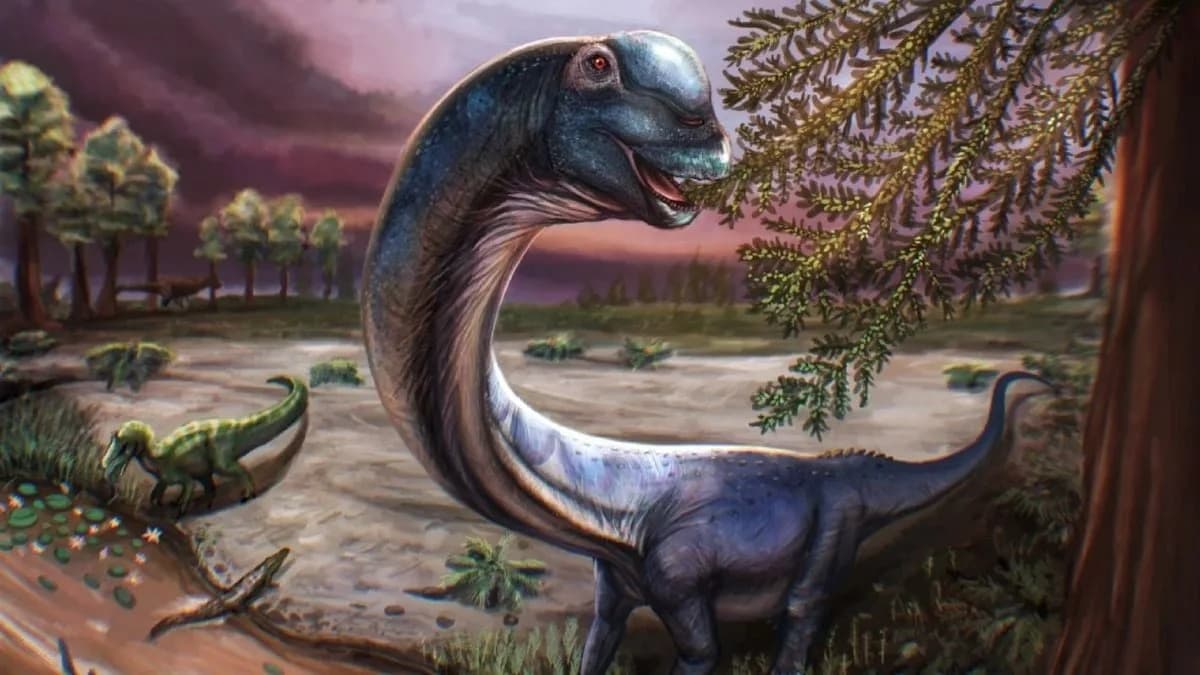 Nagatitan chaiyaphumensis: A Giant New Sauropod Tells the Tale of Southeast Asia’s Last Titans