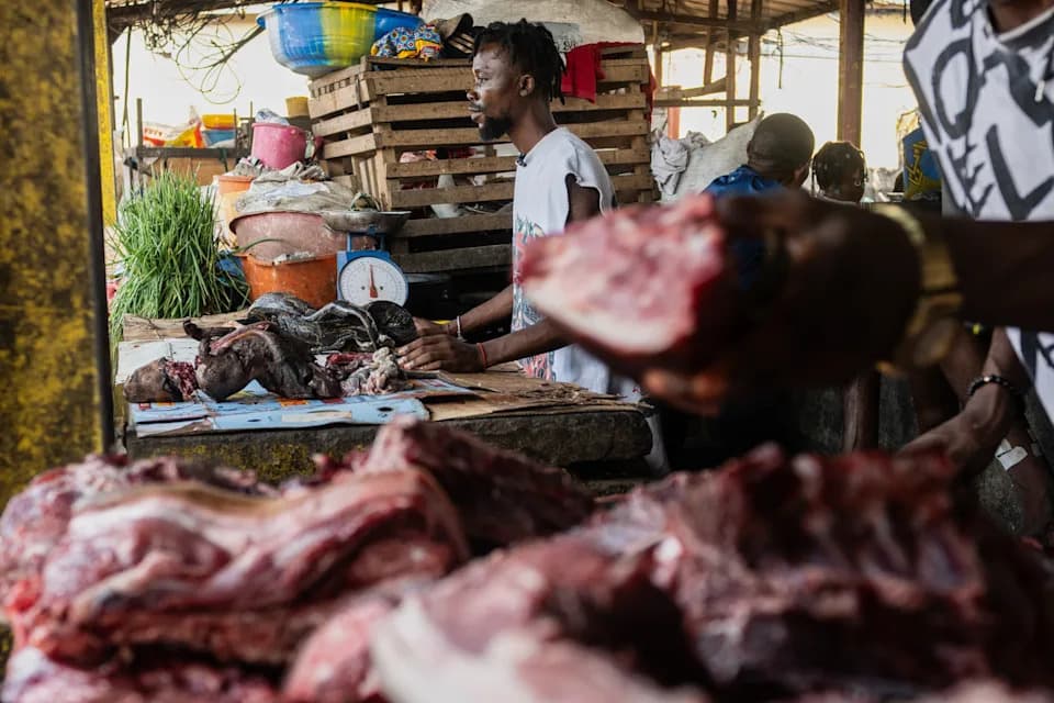 Ebola Surge in Congo Highlights Risks From Bushmeat Trade and Calls for One Health Response