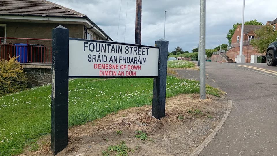 Officer Fires Shot Before Being Struck By Stolen Police Car In Downpatrick