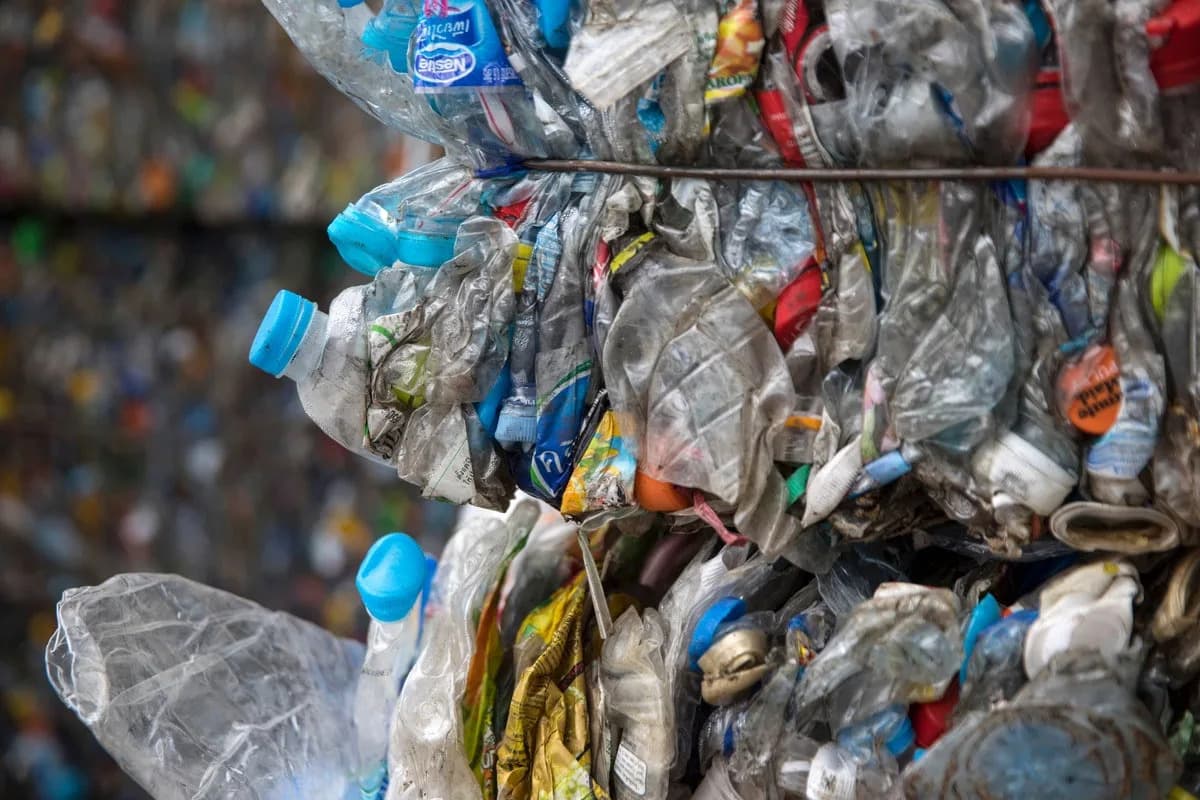 Microplastics Linger in Lungs for Weeks — PET Particles Intensify Allergic Inflammation in Mice