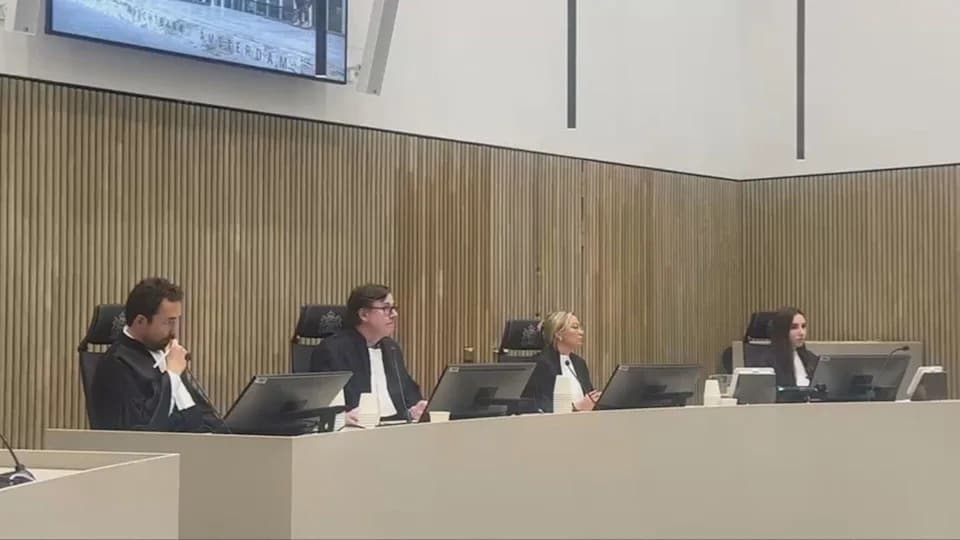 Steven Lyons Says Deportation Was Like a 'Kidnapping' as He Fights Extradition to Spain