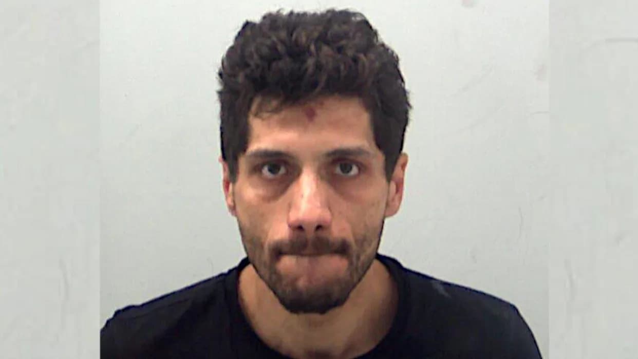 Third Brother Sentenced in McDonald's Modern Slavery Case After Victim Lured From Czech Republic