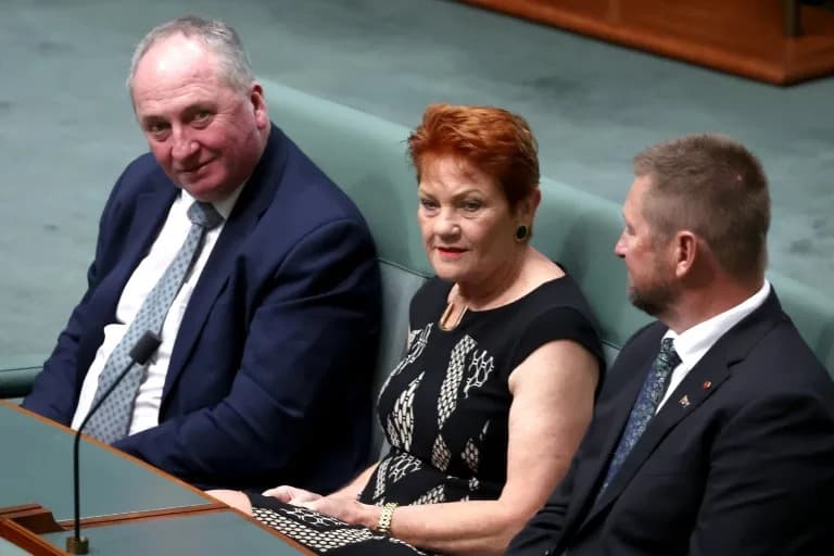 One Nation Backtracks After Lawmaker's Remark About Seizing Foreign Residents' Homes