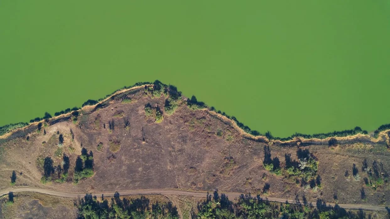 Alaska's Waters Turn 'Fluorescent Green' as Warming Fuels Toxic Algal Blooms