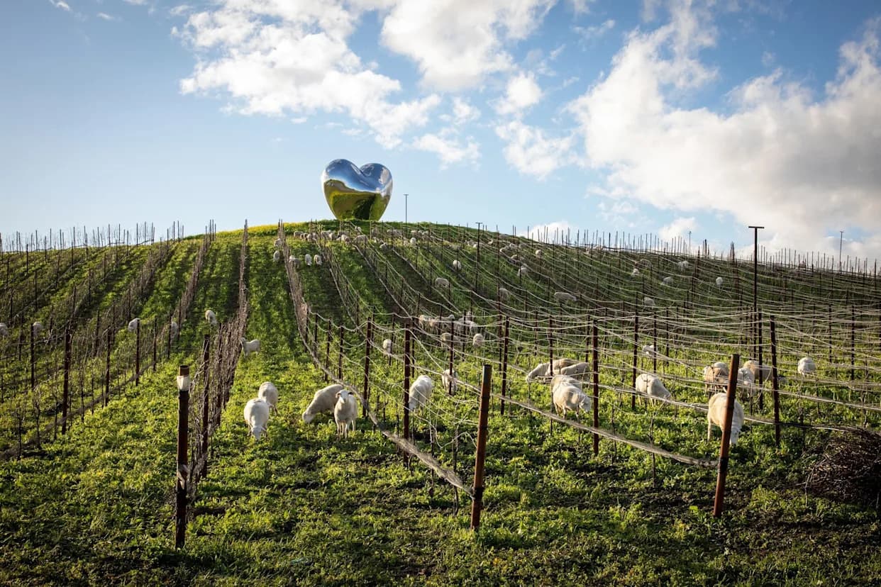 How Winemakers Are Adapting to Climate Change: From Oaks and Mycelium to Cover Crops and Hybrids