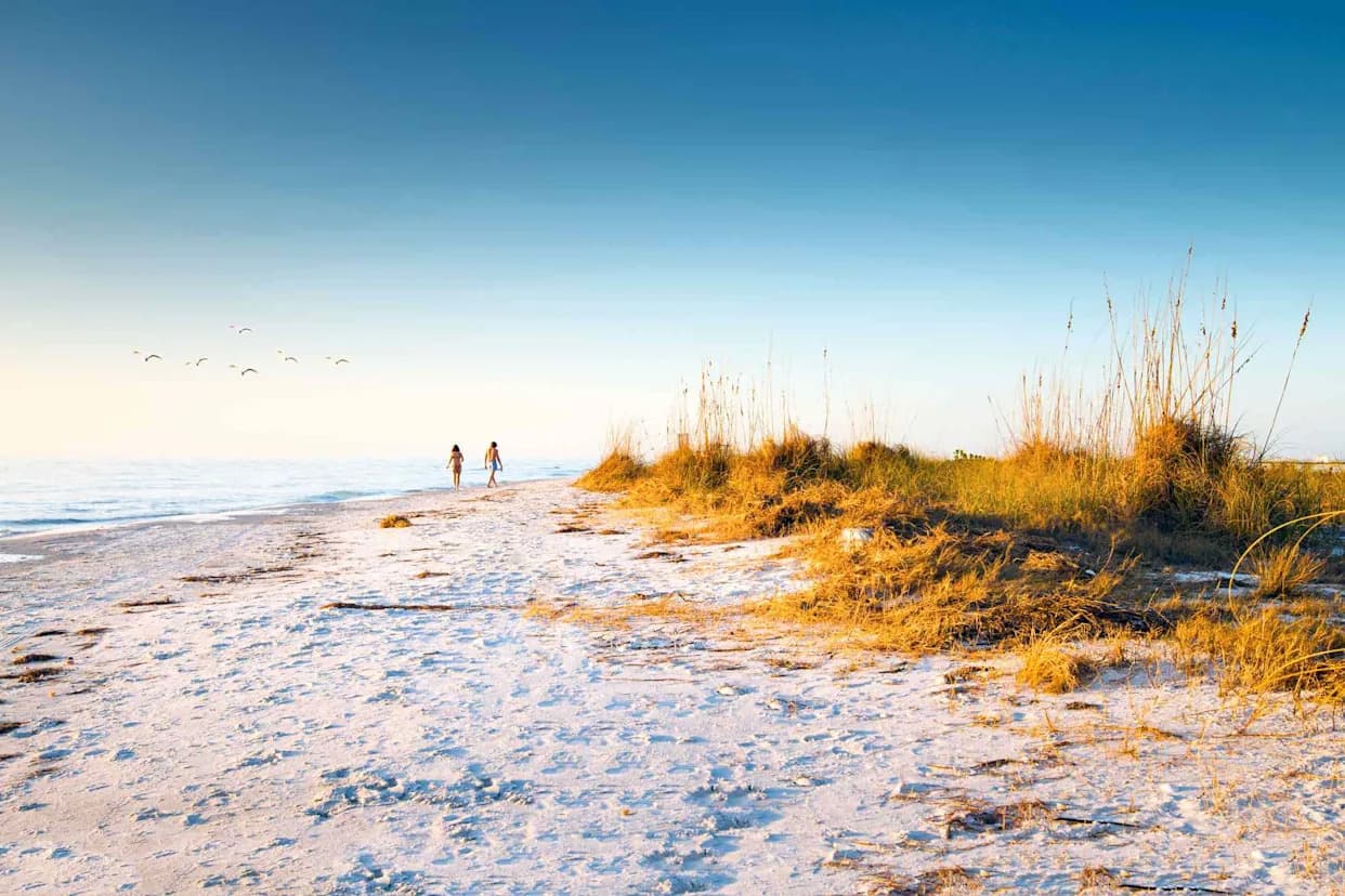 Flight Attendant Found Dead on Florida Beach; Authorities Seek Public Help