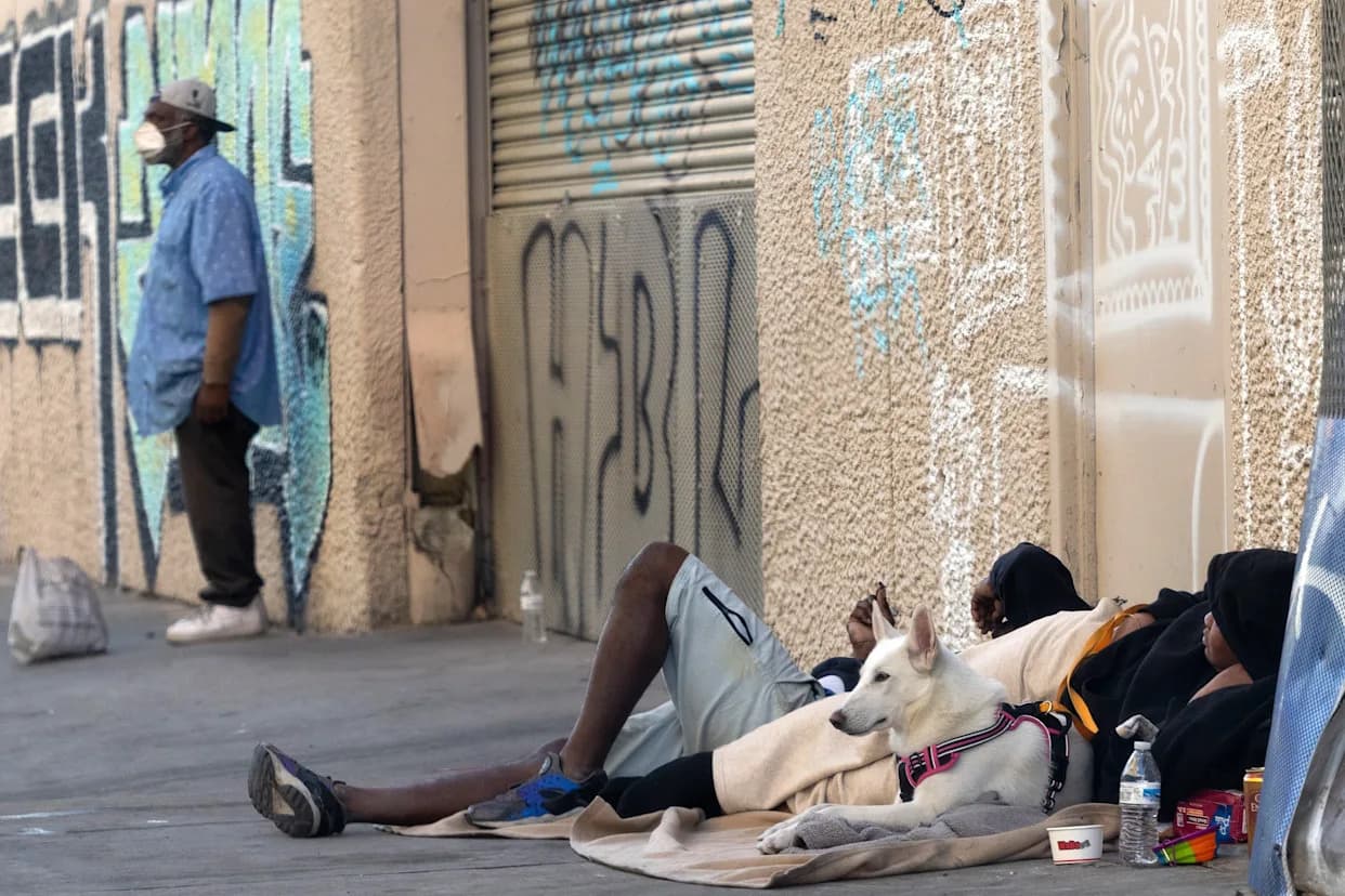 After the Election: Federal Probe Urged Into Widespread Animal Abuse on LA’s Skid Row