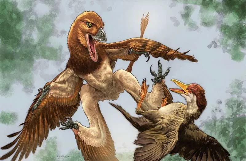 New Four‑Winged Predator Identified: Jian changmaensis May Explain Crushed Bird-Bone Clusters at Changma