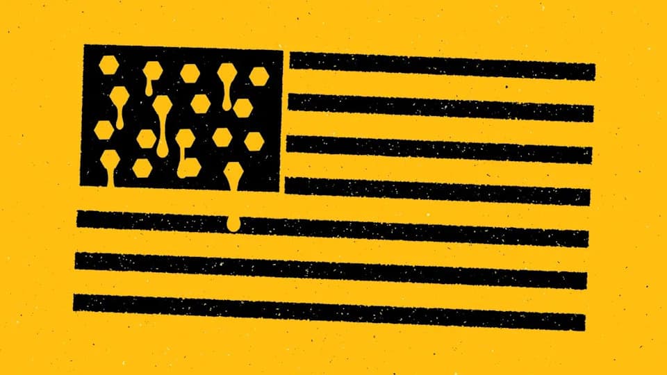 US Honey Supply Under Threat as Bee Losses Surge and Research Hubs Face Cuts