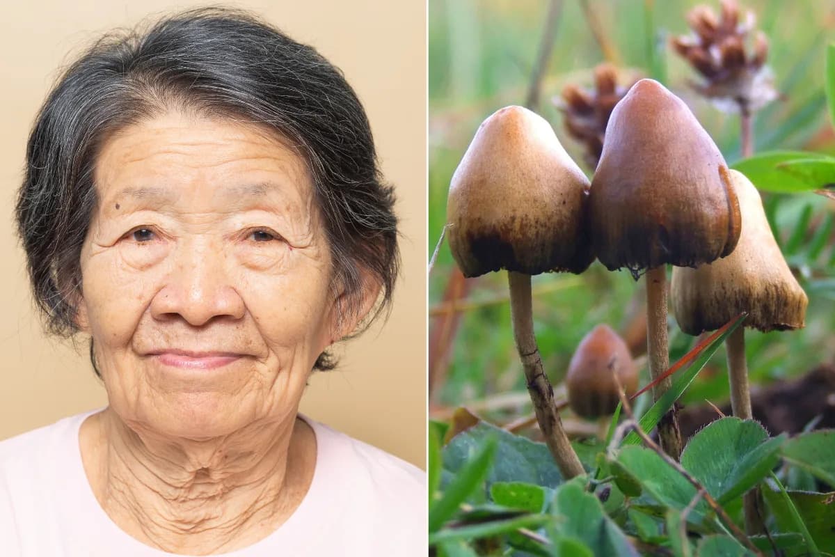 After Five Years of Near Silence, Psilocybin Briefly Restored Speech and Mobility in an 80‑Year‑Old With Alzheimer’s