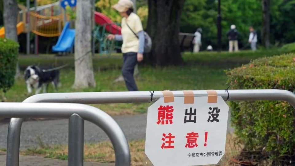 Nearly 100 Schools in Utsunomiya Closed After Multiple Bear Sightings Amid National Surge