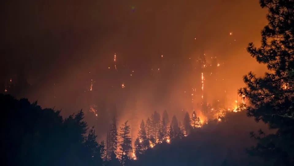 Why Prescribed Burns Are Our Best Defense Against Catastrophic Wildfires