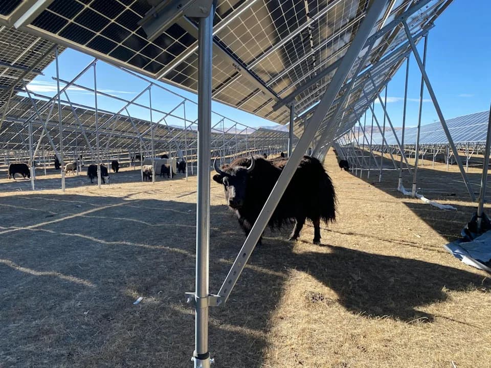 How Solar and Wind Farms on the Tibetan Plateau Are Reshaping Nomadic Life