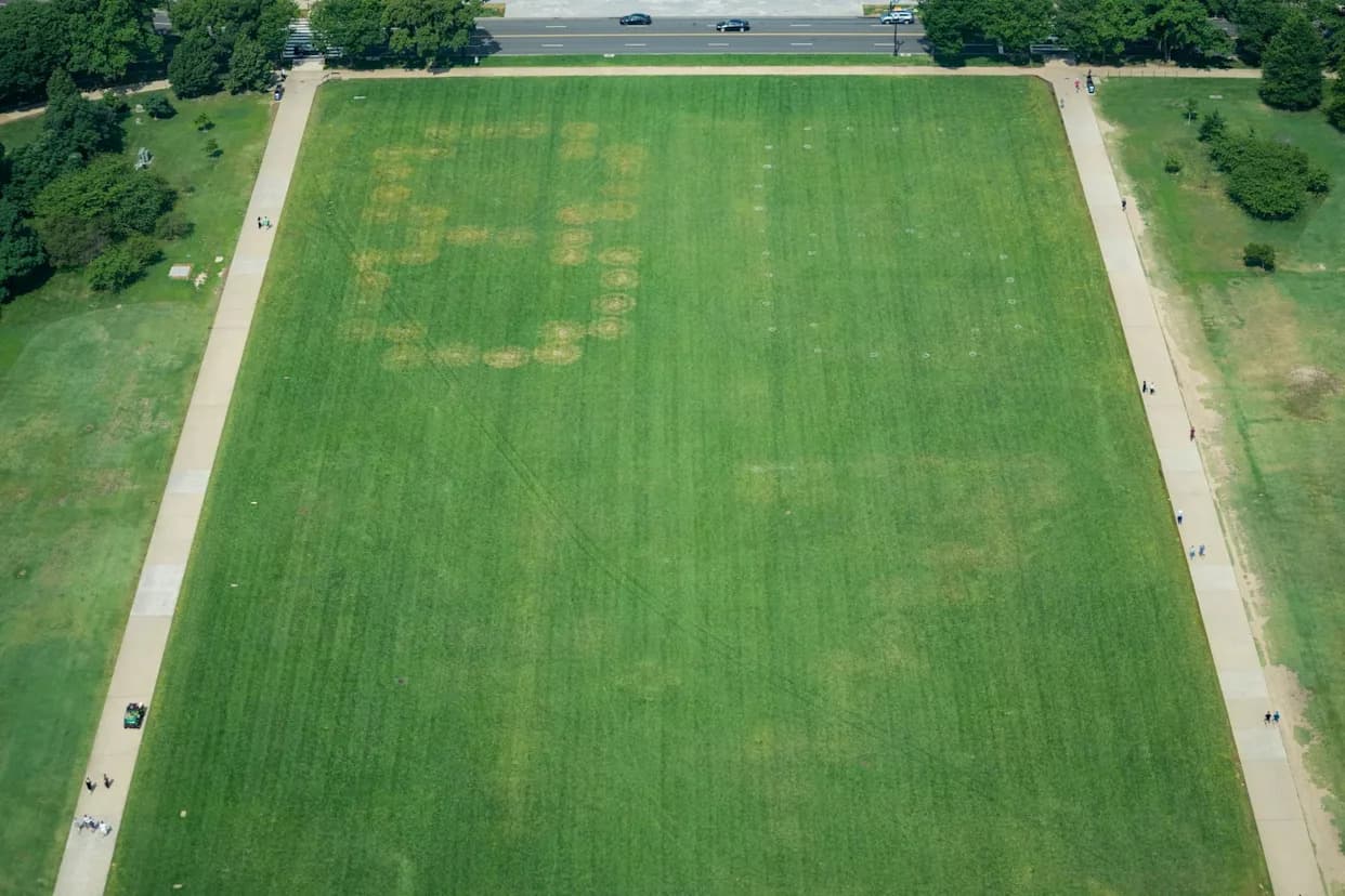Mystery '8647' Etching on National Mall Lawn Prompts Federal Investigation