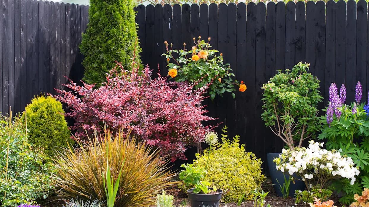 Illinois Gardener Fights Village Order to Remove Native Garden — State Law May Protect Her