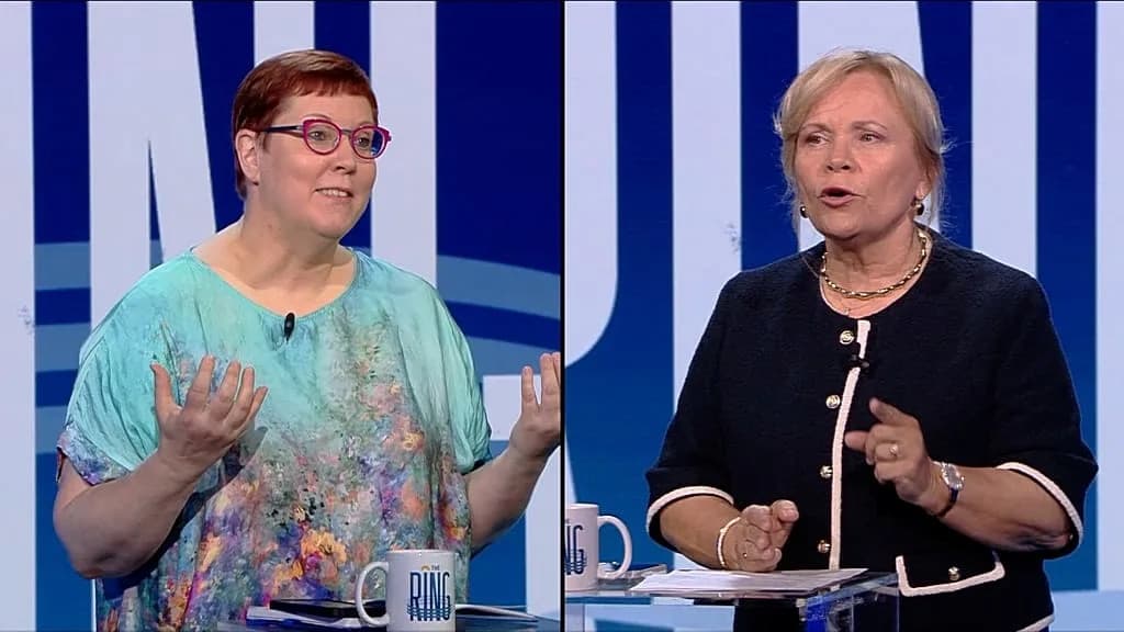 Can EU Diplomacy Deliver Peace for Ukraine? Nordic MEPs Warn Over Drone Threats
