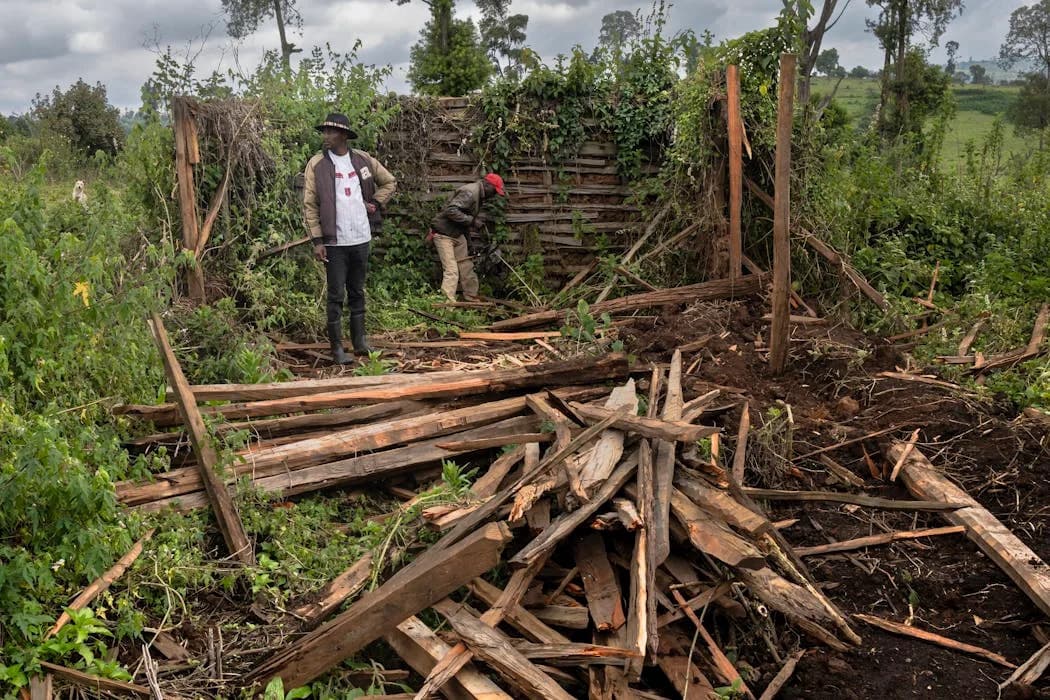 When Conservation Displaces: How Carbon Markets and Faux Consultation Threaten Indigenous Lands